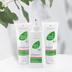 Aloe vera box LR
