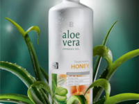 Aloe vera ital