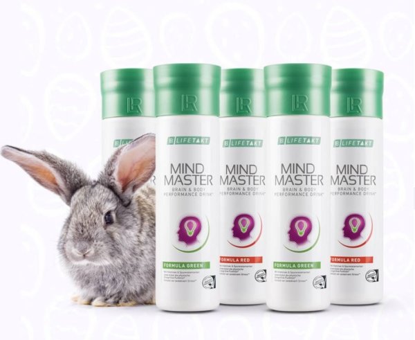 Mind Master segít a kihívásokat könnyedén venni