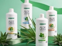 Aloe vera ital beindítja a gyógyulási folyamatokat