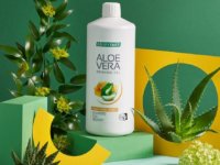 aloe vera mézes ital saját történettel rendelkezik