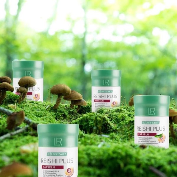 Reishi a hosszú élet gombája