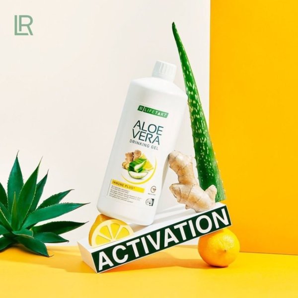 aloe vera immune plus ital káros