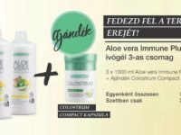 aloe vera ivógél és a gyömbér együtt üt igazán